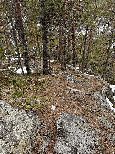 Lite snø igjen på sørsiden av Bygdeborgen