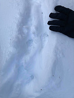 gitteval_20210314_604e500e95c33.jpeg