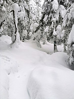 gitteval_20210315_604f9b97dfb56.jpg