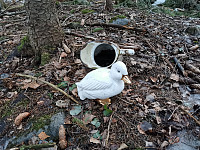 gitteval_20210323_605a2e1a58502.jpg