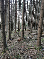 gitteval_20210323_605a2e4ec3158.jpg