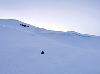 gitteval_20210408_606f4be335fab.jpg