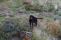 gitteval_imgp4126.jpg