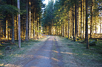 gitteval_imgp4648.jpg