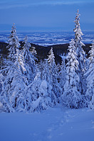 gitteval_imgp4724.jpg