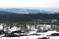 gitteval_imgp9359.jpg