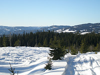gitteval_p3080166.jpg