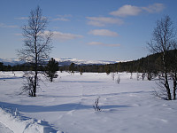 gitteval_p3220177.jpg