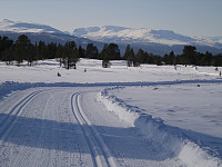 gitteval_p3220178.jpg