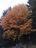 gitteval_wp_000504.jpg