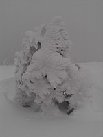 gitteval_wp_001848.jpg