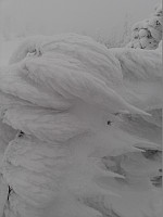 gitteval_wp_001863.jpg