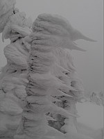 gitteval_wp_001868.jpg