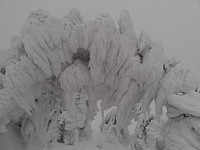 gitteval_wp_001869.jpg