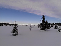 gitteval_wp_002008.jpg