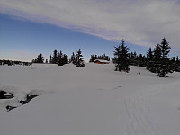 gitteval_wp_002011.jpg
