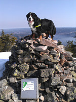 gitteval_wp_002040.jpg