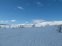 Peregrinus_20150910_55f1eb5ee1698.jpg