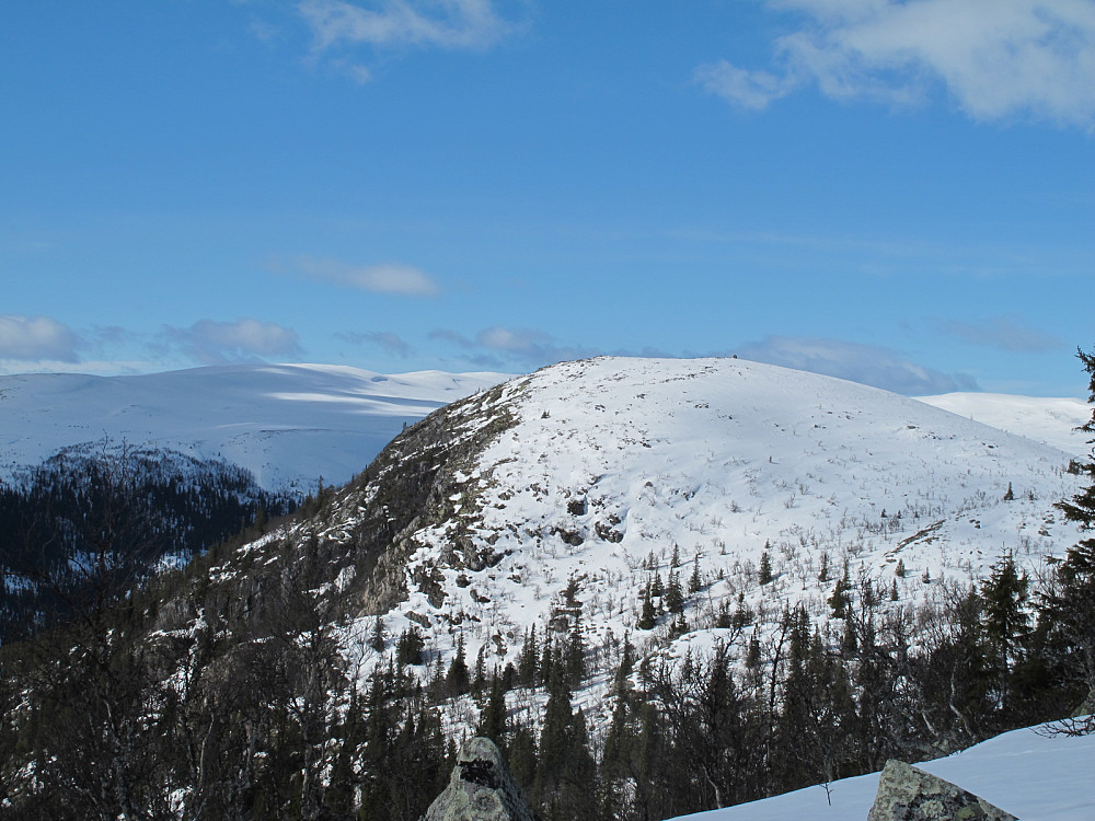 Imsdalskampen
