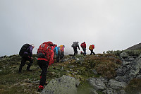 Peregrinus_20150920_55ff1b68537af.jpg