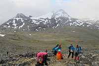 Peregrinus_20150920_55ff1b6ca2761.jpg