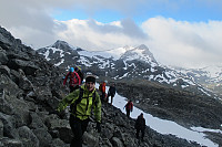 Peregrinus_20150920_55ff1be0f3336.jpg