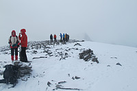 Peregrinus_20150920_55ff1f3885155.jpg