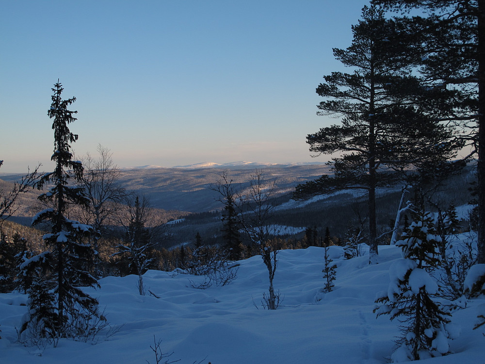 Oppover Østerdalen.