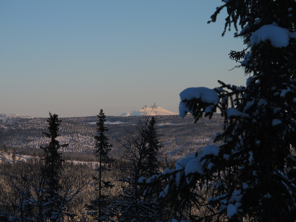 Tronfjell.