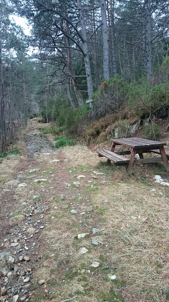 Rasteplass for den som må ta seg en pust i bakken.
