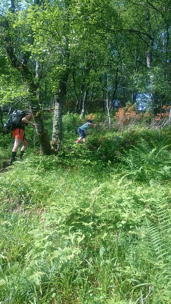 Første etape starter i ei bratt li . SIden det var veldig varmt, så rant svettene godt oppover i lia.