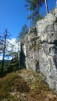 Peregrinus_20180821_5b7be20c09e10.jpg