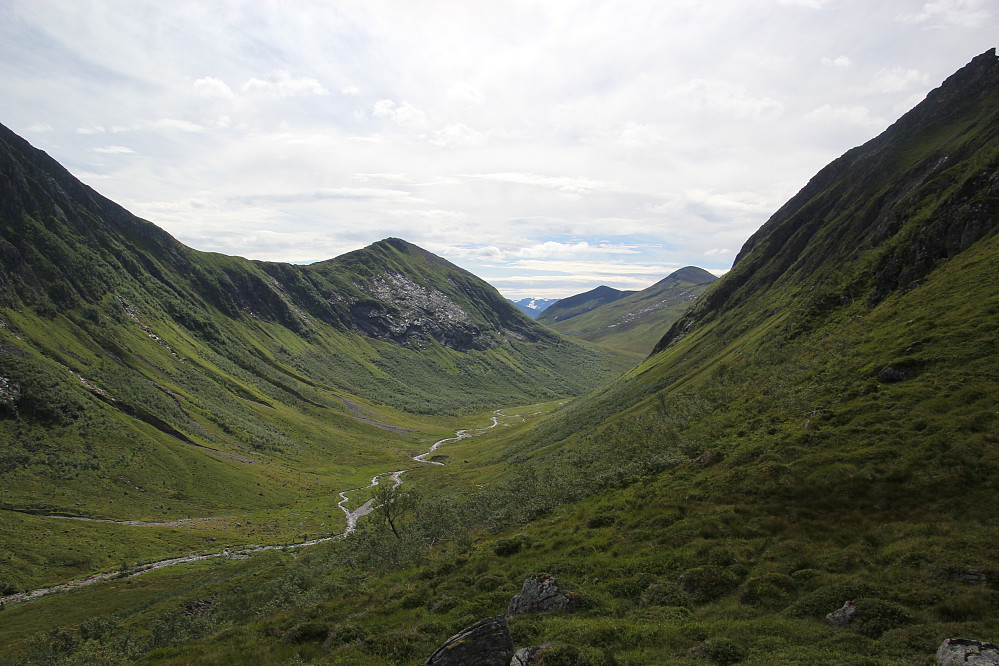 Grønn og frodig Langedalen