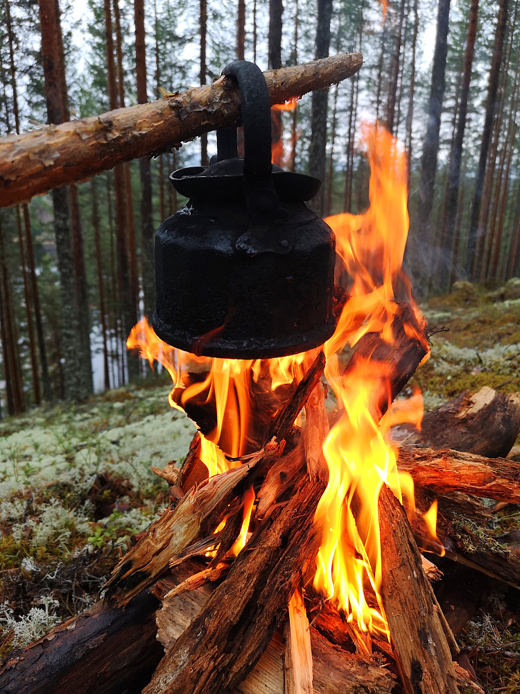 Kaffekoking på dagens siste topp. Selv med flere dager med regn og snø, så brenner tyriveden godt.