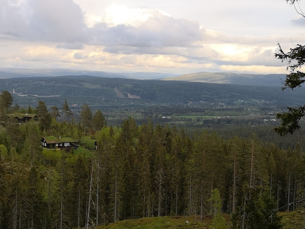 Utsikt mot Rena