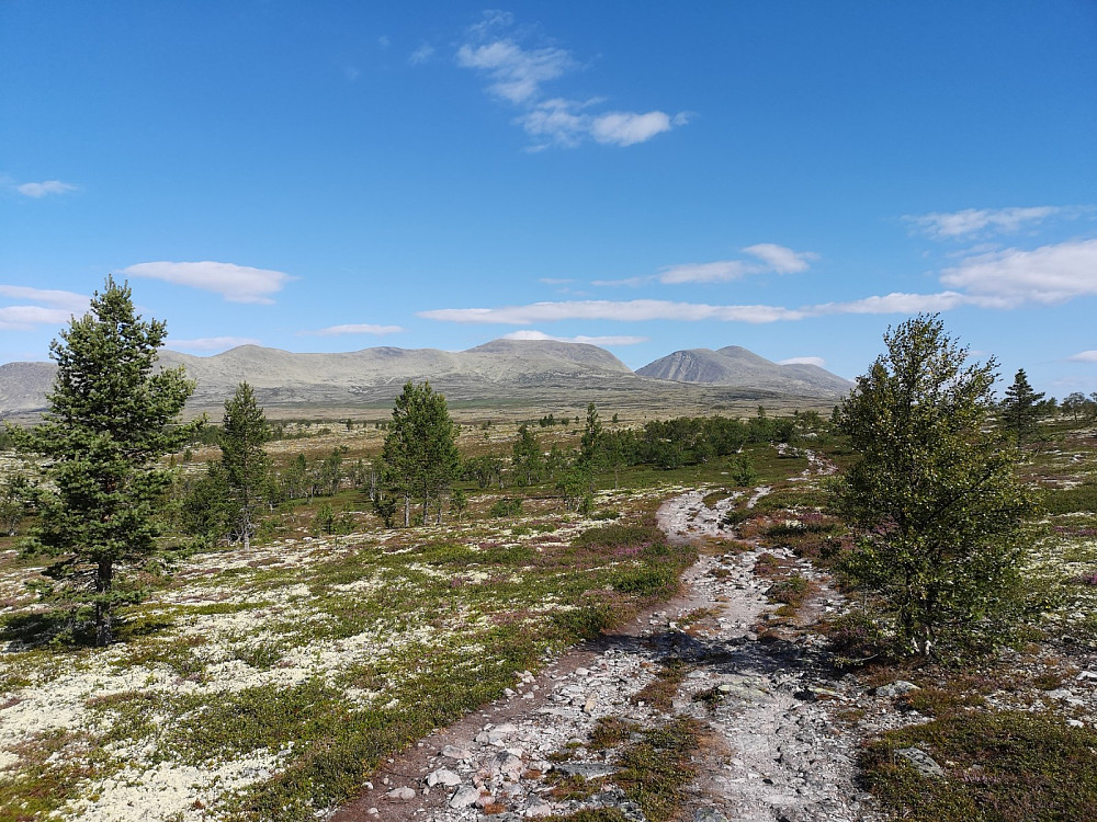 Sølenmassivet med sørtoppen til venstre for skaret, og midtre og nordre til høyre. Det er en lang og dryg bit bort til foten av fjellet.  