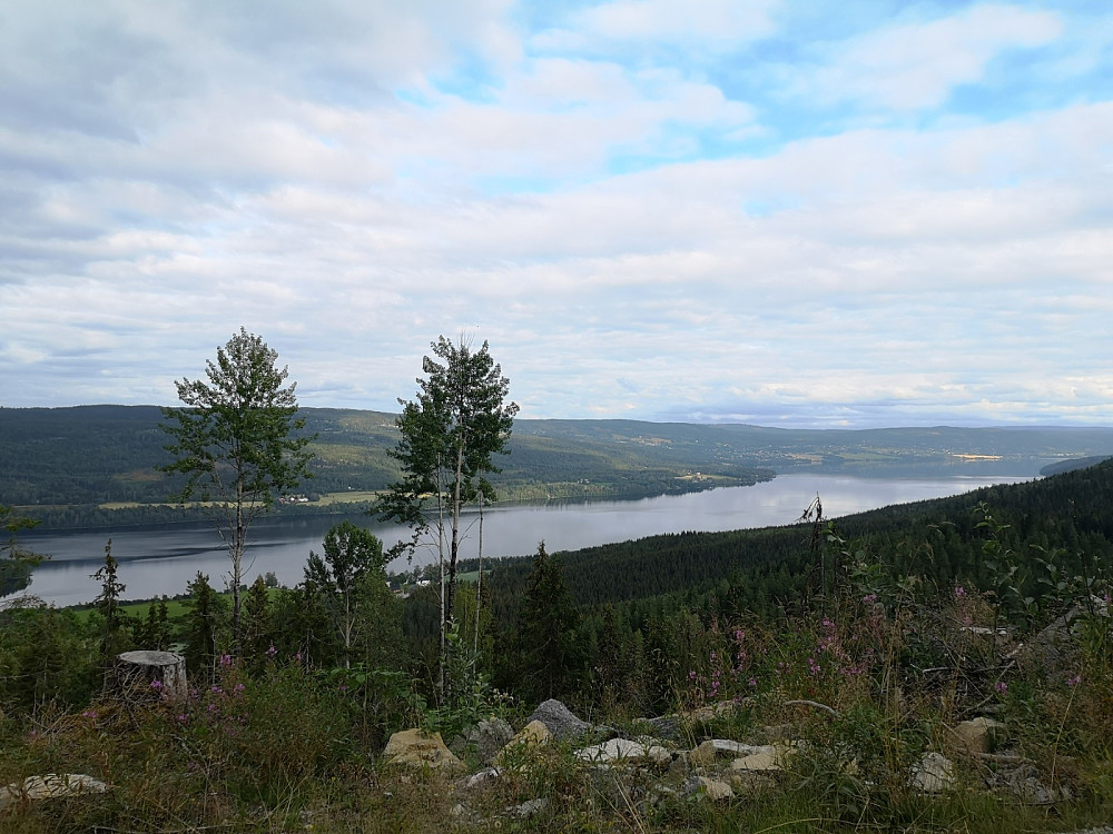 Utsikt over Randsfjorden. Bildet er tatt langs skogsbilveien