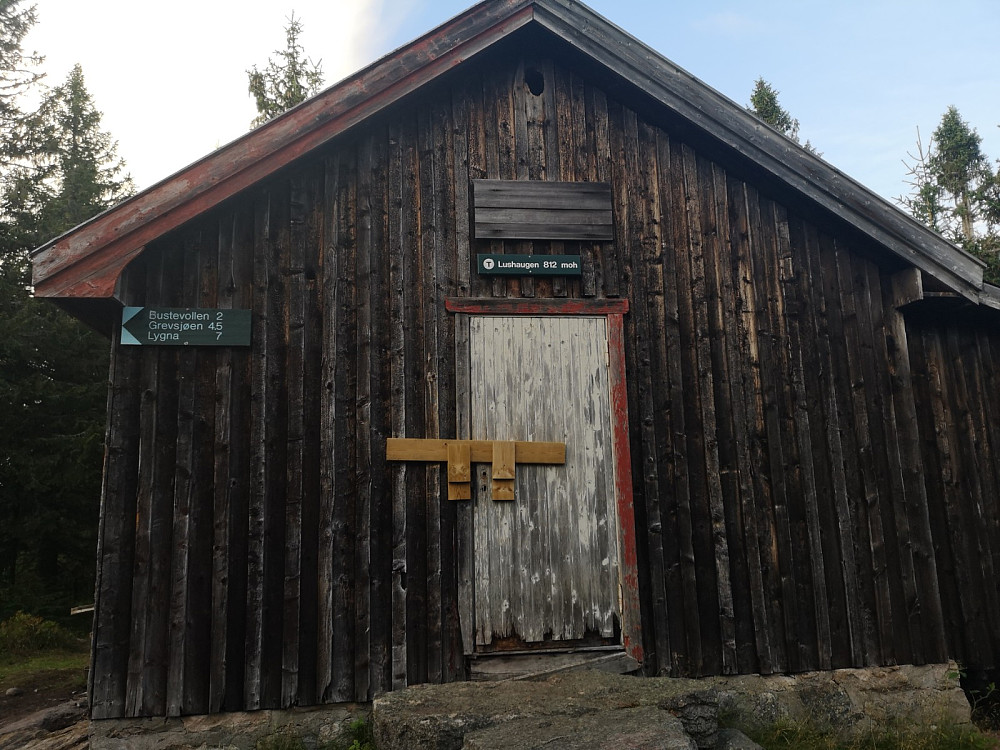 Gamle bua på toppen