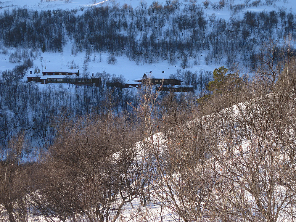 Bjørnhollia