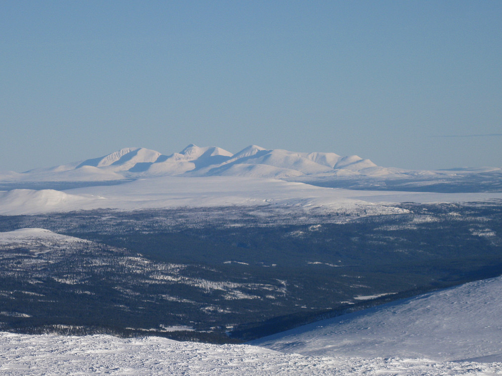 Rendalssølen, tilsynelatende ikke langt dit