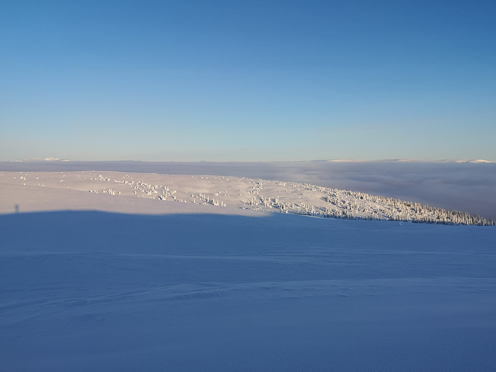 Rendals-sølen kan skimtes til venstre og Fjellene i Eltdalen til høyre. Steinfjellet (983 m) nærmest