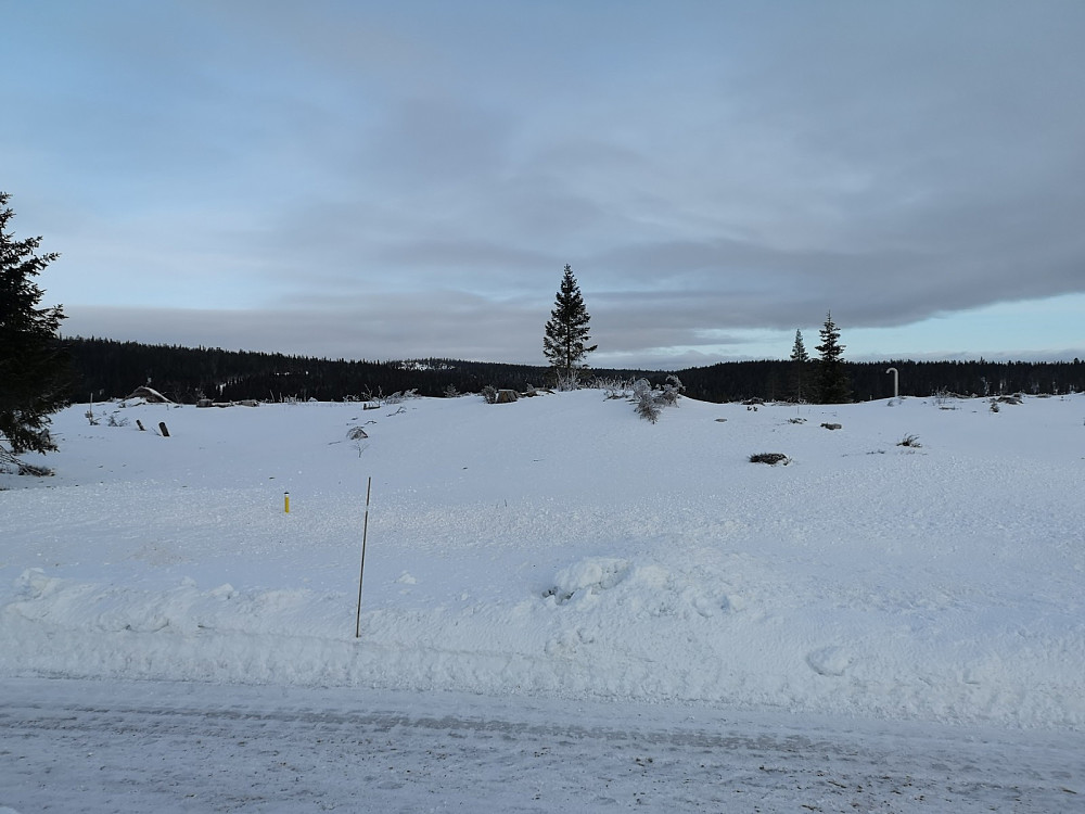 Dagens første topp, Rødsåsen. Det ser ut som denne toppen snart blir bekledd med ei hytte eller to..