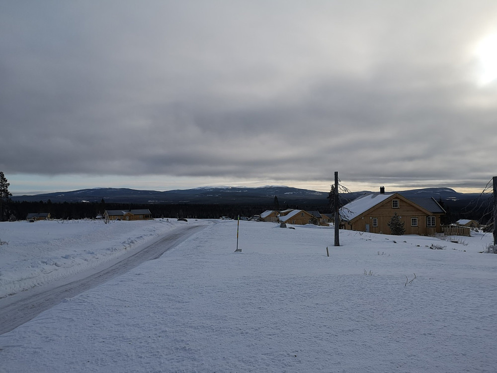 Rødsåsen. Her var det skog, nå er det ikke det lengre. Det er ikke rart nedbygging av natur er den største trusselen mot det biologiske mangfoldet..