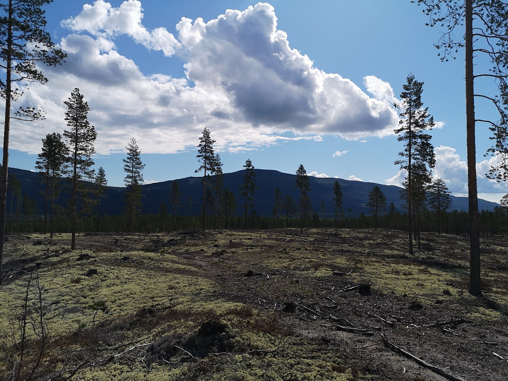 Deifjellet