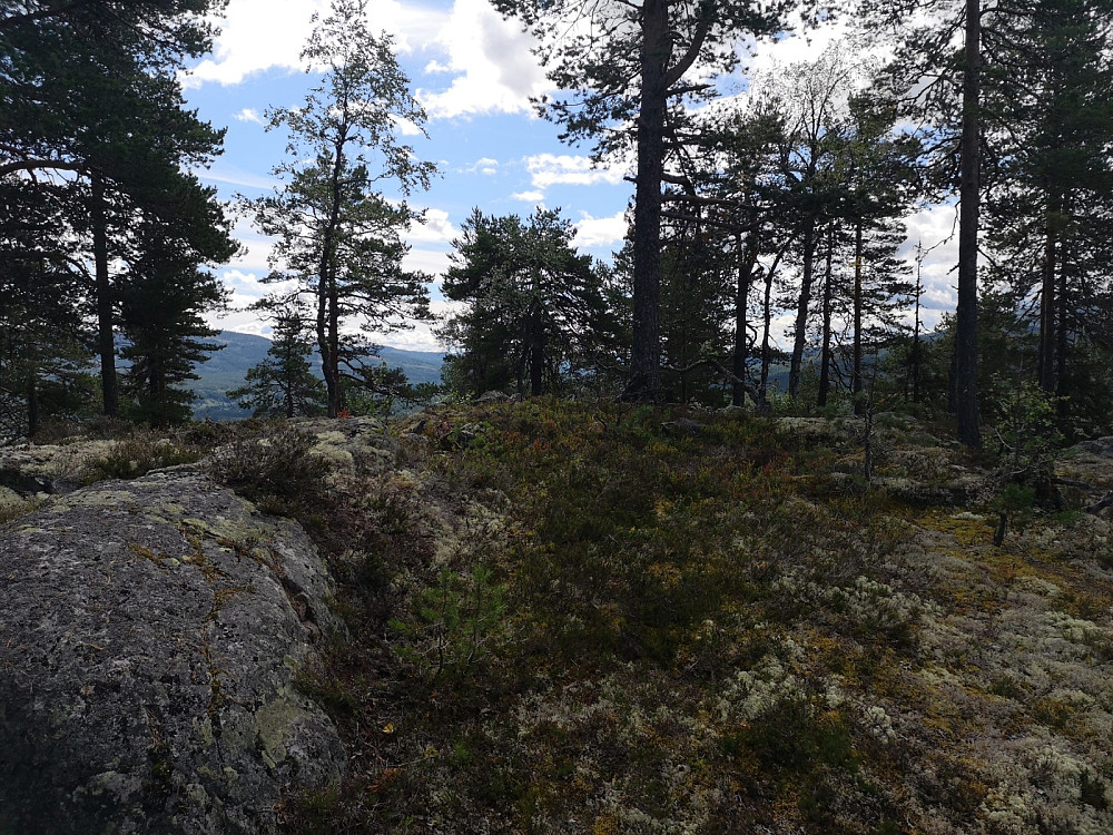 Toppen på Krokkletten