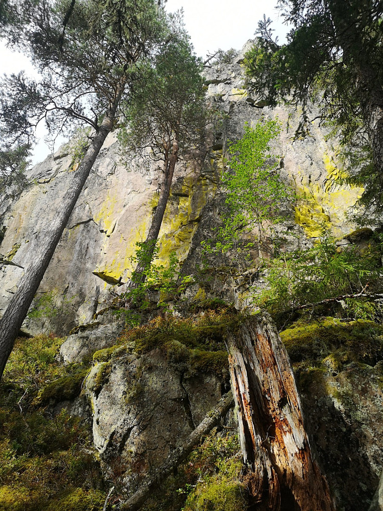 Man blir liten under en slik bergvegg
