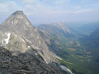 Peregrinus_20200812_5f33db16a22d1.jpg