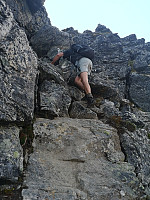 Peregrinus_20200812_5f33db1878b8a.jpg