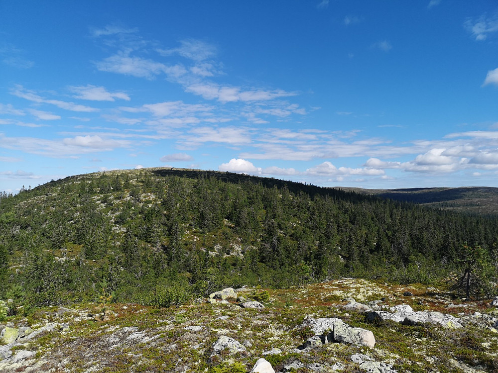 Innover mot Blekufjellet