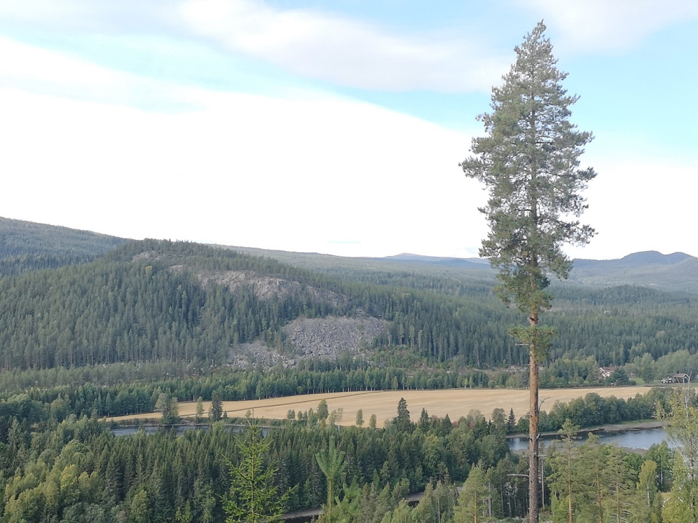 Utsikt til... Topp